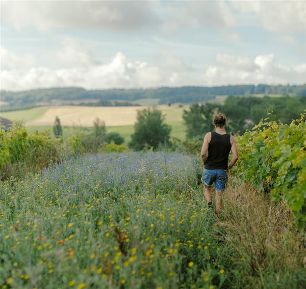 Ferme de Jeanmetge