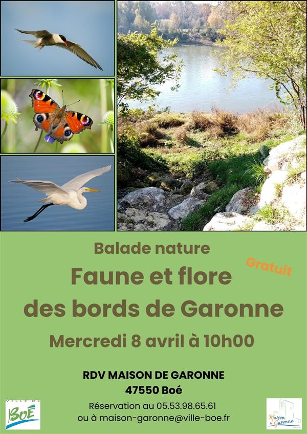 Balade nature « faune et flore des bords de Garonne » 