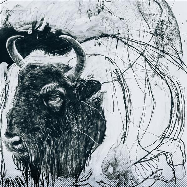 Métamorphose(s) : Exposition par Benjamin Bondonneau