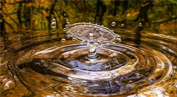 Exposition sur le thème de l'eau