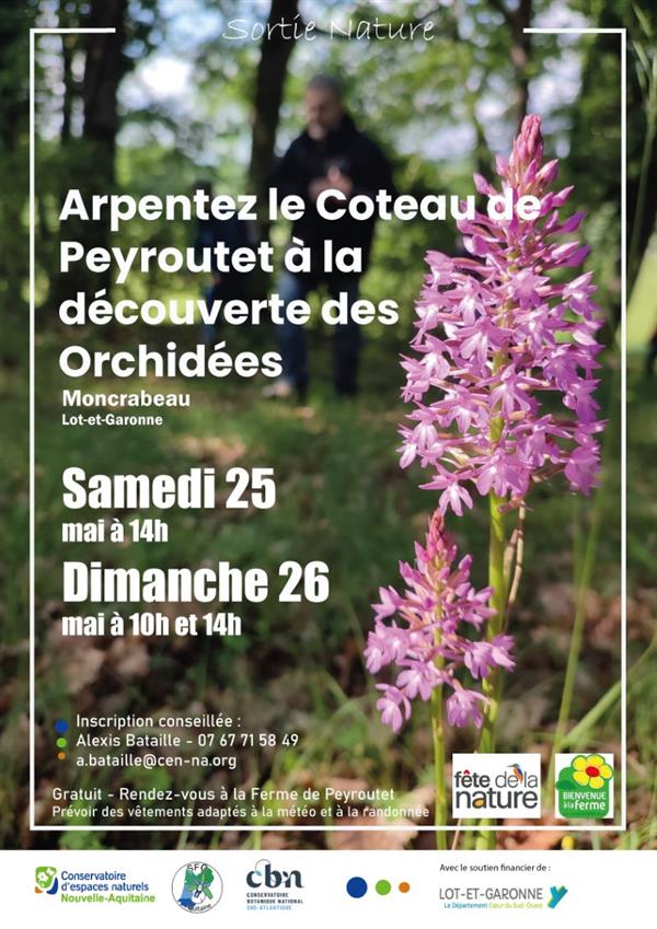 Fête de la Nature : A la découverte des orchidées sur le côteau de Peyroutet