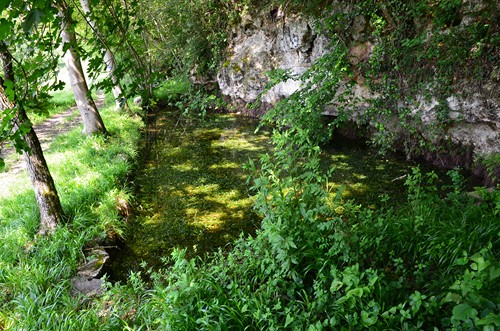 Entretien de jardins à Saint-Antoine-de-Ficalba