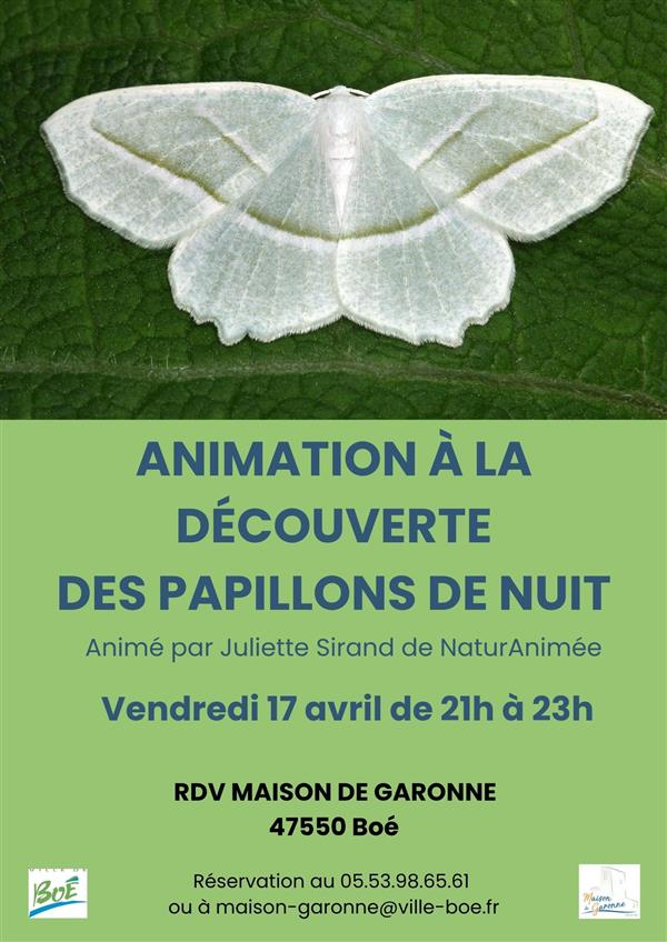 Animation à la découverte des papillons de nuit