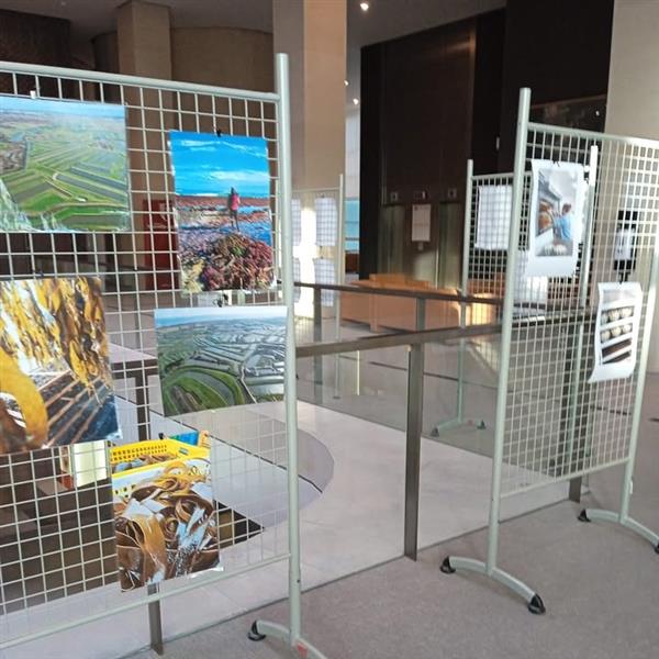 Exposition - Ma Région en Image