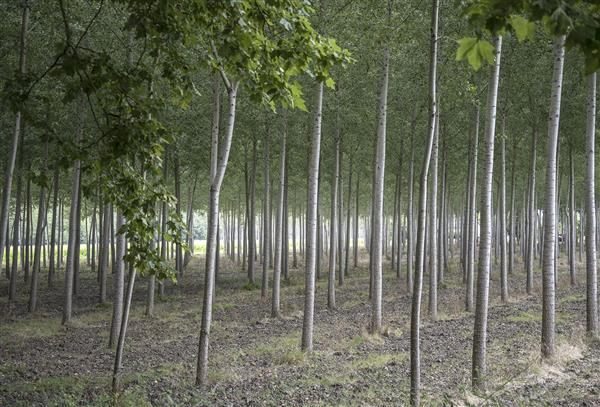 Imagine ta forme des lieux