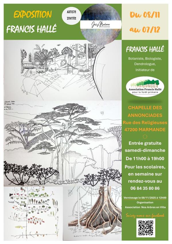 Exposition Francis Hallé