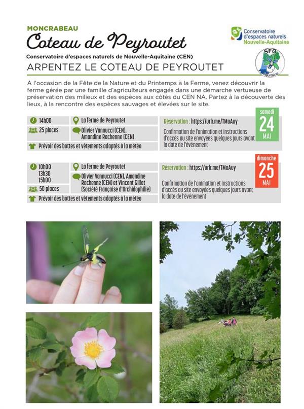 Fête de la Nature : A la découverte des orchidées du côteau de Peyroutet