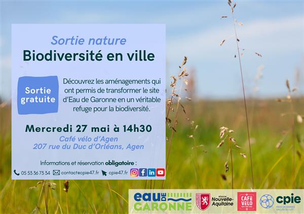 Balade découverte de la biodiversité en ville