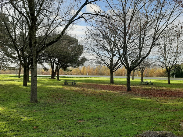Aire de Pique-nique d'Aiguillon