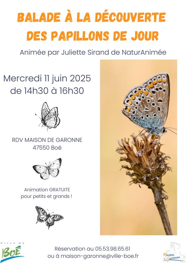 Balade à la découverte des papillons de jour 