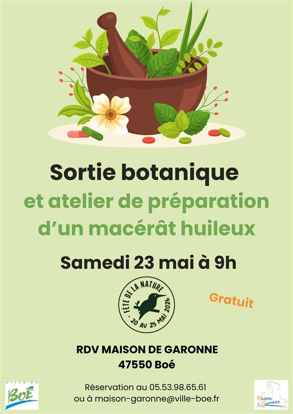 Sortie botanique et préparation d’un macérat huileux