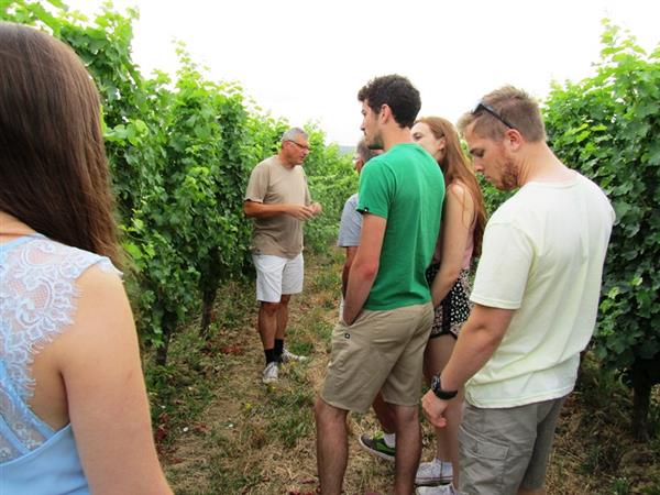Berticot wine tour