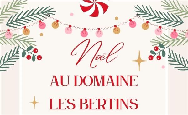 Le Noël du Domaine les Bertins