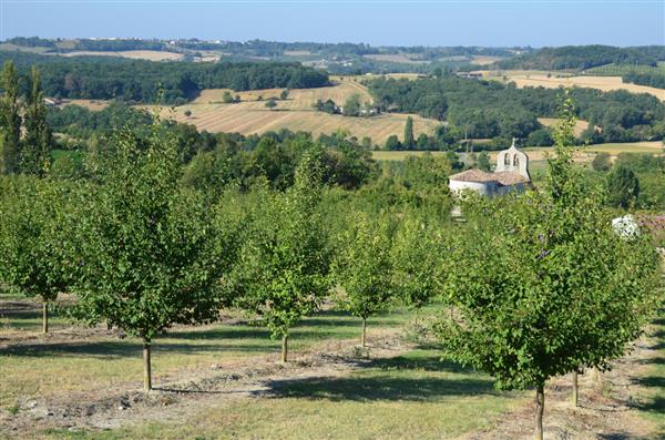 Bastide de Castelnaud-de-Gratecambe