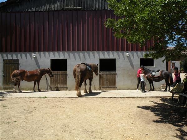 Randonnées Equestres de Claverie 