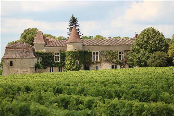 Visite des chais au château du Frandat