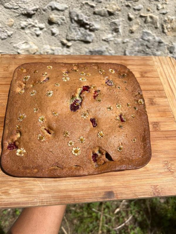 Animation nature en famille : Cuisine Sauvage