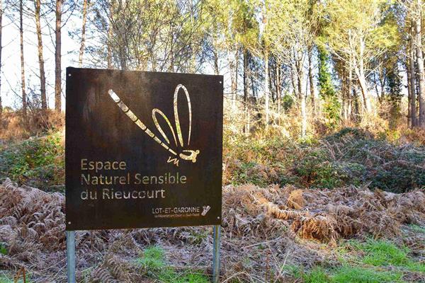 Balade naturaliste