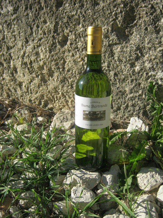 Domaine Les Bertins, SAINT-ASTIER