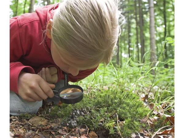 Animation nature en famille : Patte après Patte