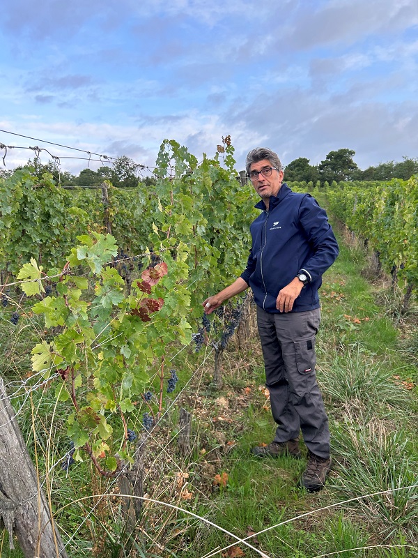 Domaine Elian Da Ros