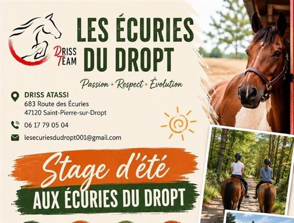 Cours privés ou collectifs, balades, stage d'été aux Ecuries du Dropt