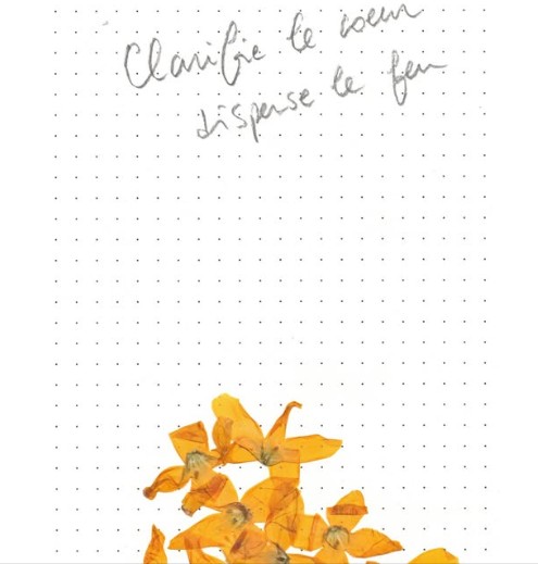 Exposition Clarifie le Coeur, Disperse le Feu, de Socheata Canto-Aing