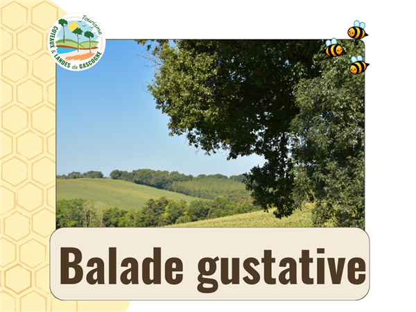 Mini circuit : Balade Gustative