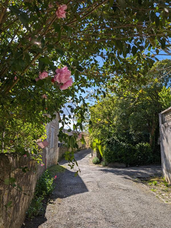 Octobre rose à Sainte-Colombe-en-Brulhois