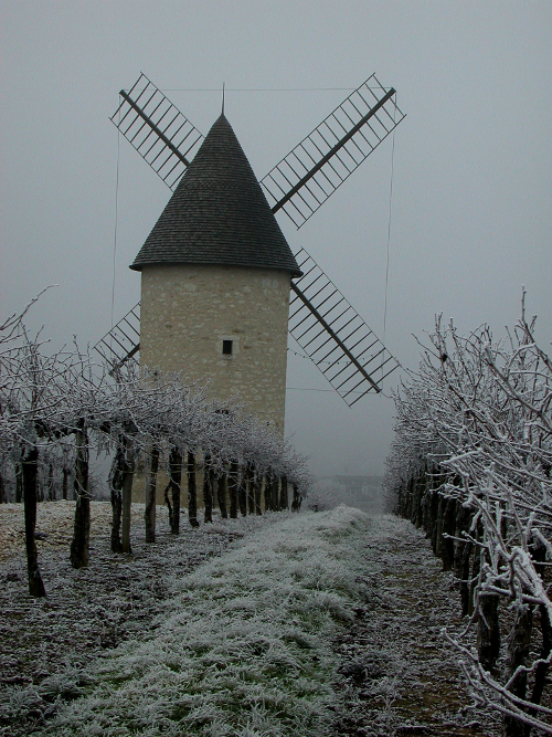 Le Moulin de Marquet, dans les vignes de Villeneuve-de-Duras