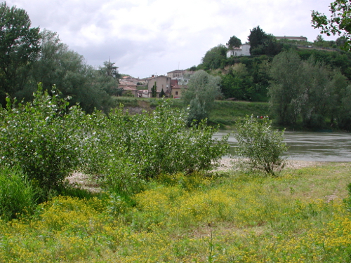 Meilhan, entre Canal et Garonne