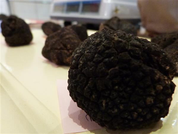 Marché aux truffes fraîches et contrôlées