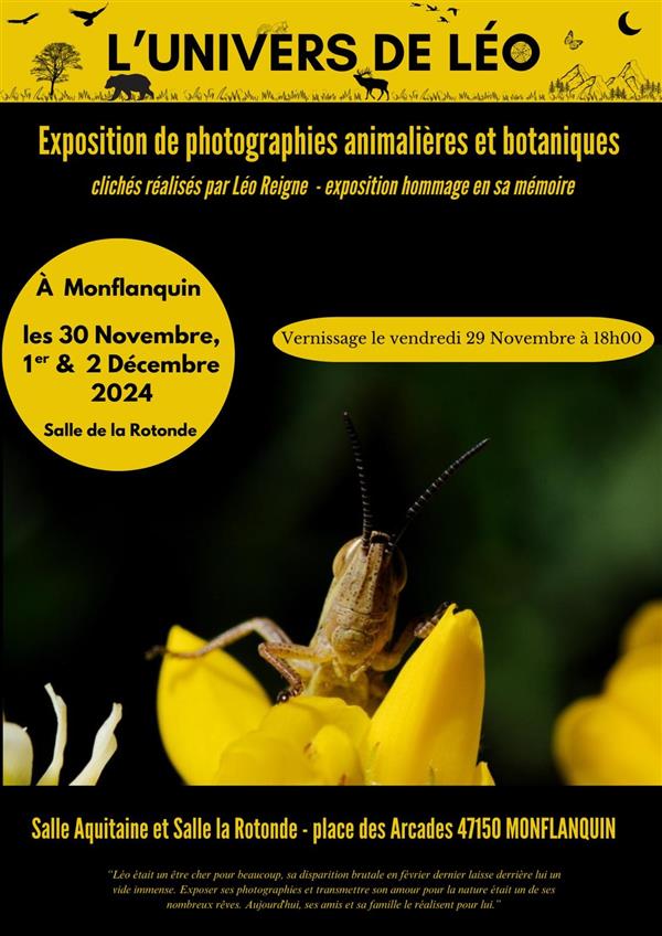 Exposition de photographies L