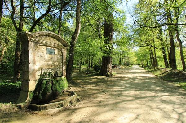 Laissez-vous conter les jardins du Roi...