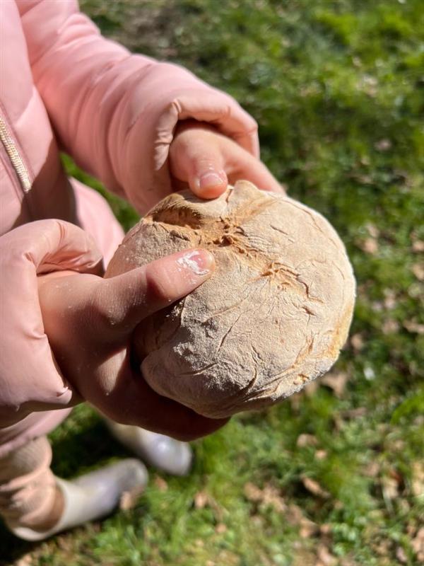 Animation nature en famille : Tissage Végétal