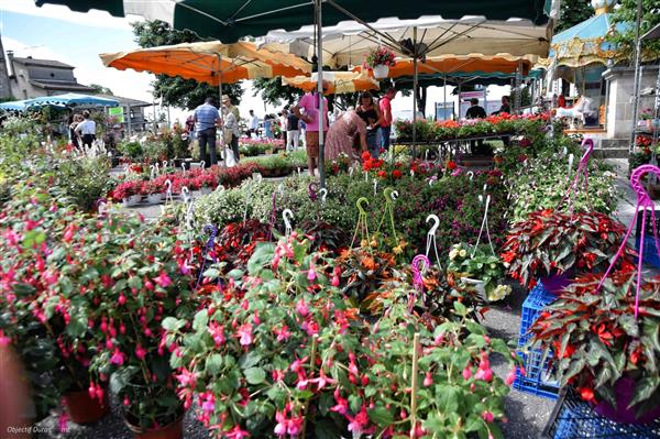  Marché aux fleurs, vide-greniers et artisanat