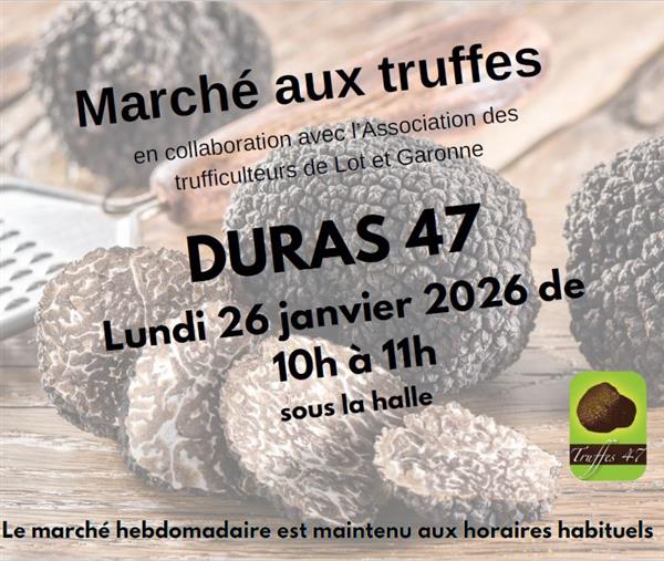 Marché aux truffes 