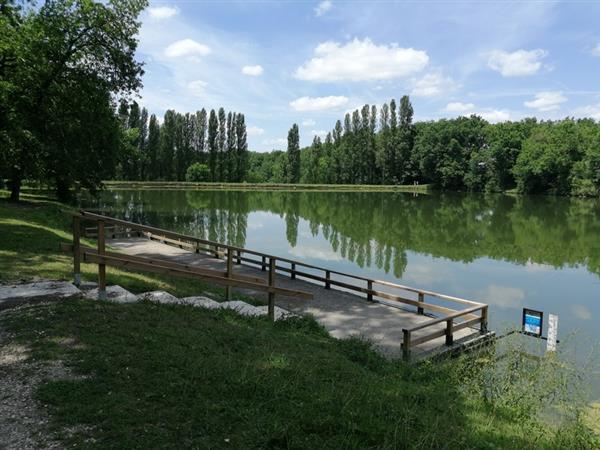 Parcours de pêche Famille, Lac de Coulon