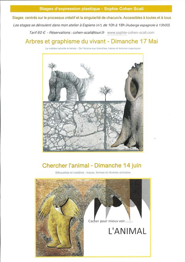 Stage d'expression plastique : Arbres et graphisme du vivant