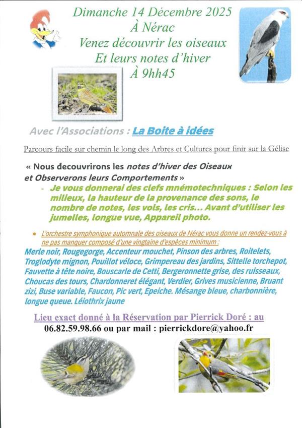 Découverte des oiseaux