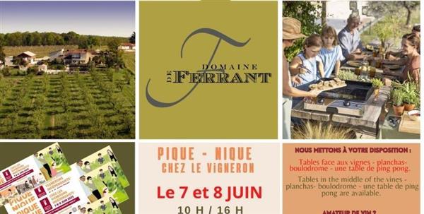 Pique-nique et assiette du terroir au coeur des vignes du Domaine de Ferrant