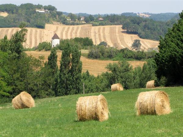 Plaines agricoles de Puymirol