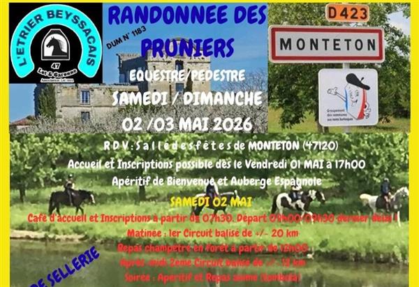 Rallye équestre