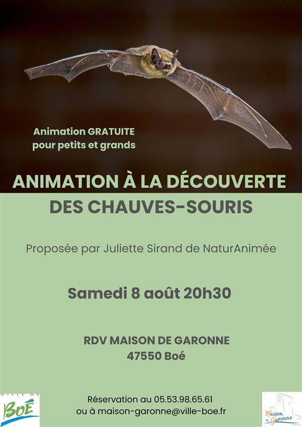 A la découverte des chauves-souris