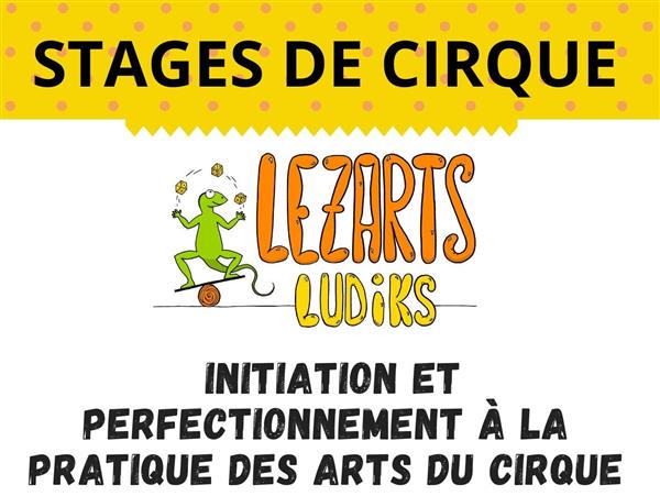 Stage des arts du cirque avec Lezarts Ludiks