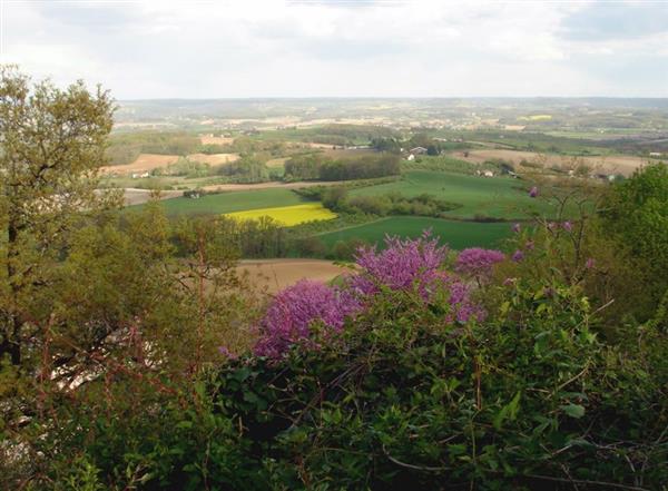 Point de vue de Monségur