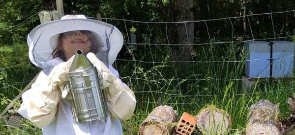 Animation nature en famille : Nos amies les abeilles