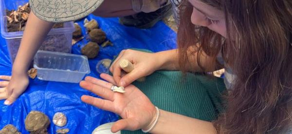 Animation nature en famille : Sur la piste des fossiles