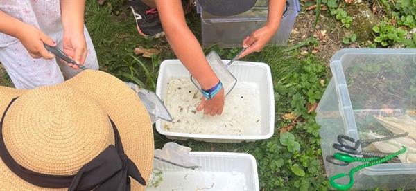 Animation nature en famille : Les anim'eau de la mare