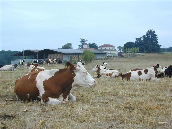 La Ferme de la Bosse